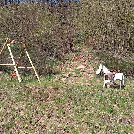 Ferienwohnung Sonnenhang Rudenau Εξωτερικό φωτογραφία